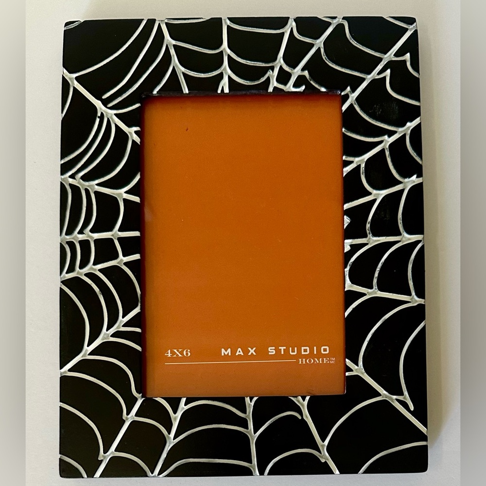 🎁Max Studio Picture Frame - Spider Web Feature - 6.5”x8.5” - Holds 4”x6” Photo